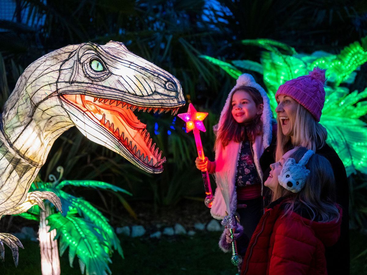 Lantern Festival brings magical sights to West Midland Safari Park