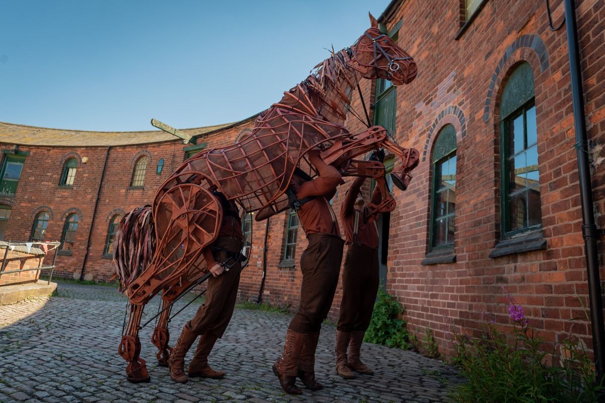 warhorse puppetry