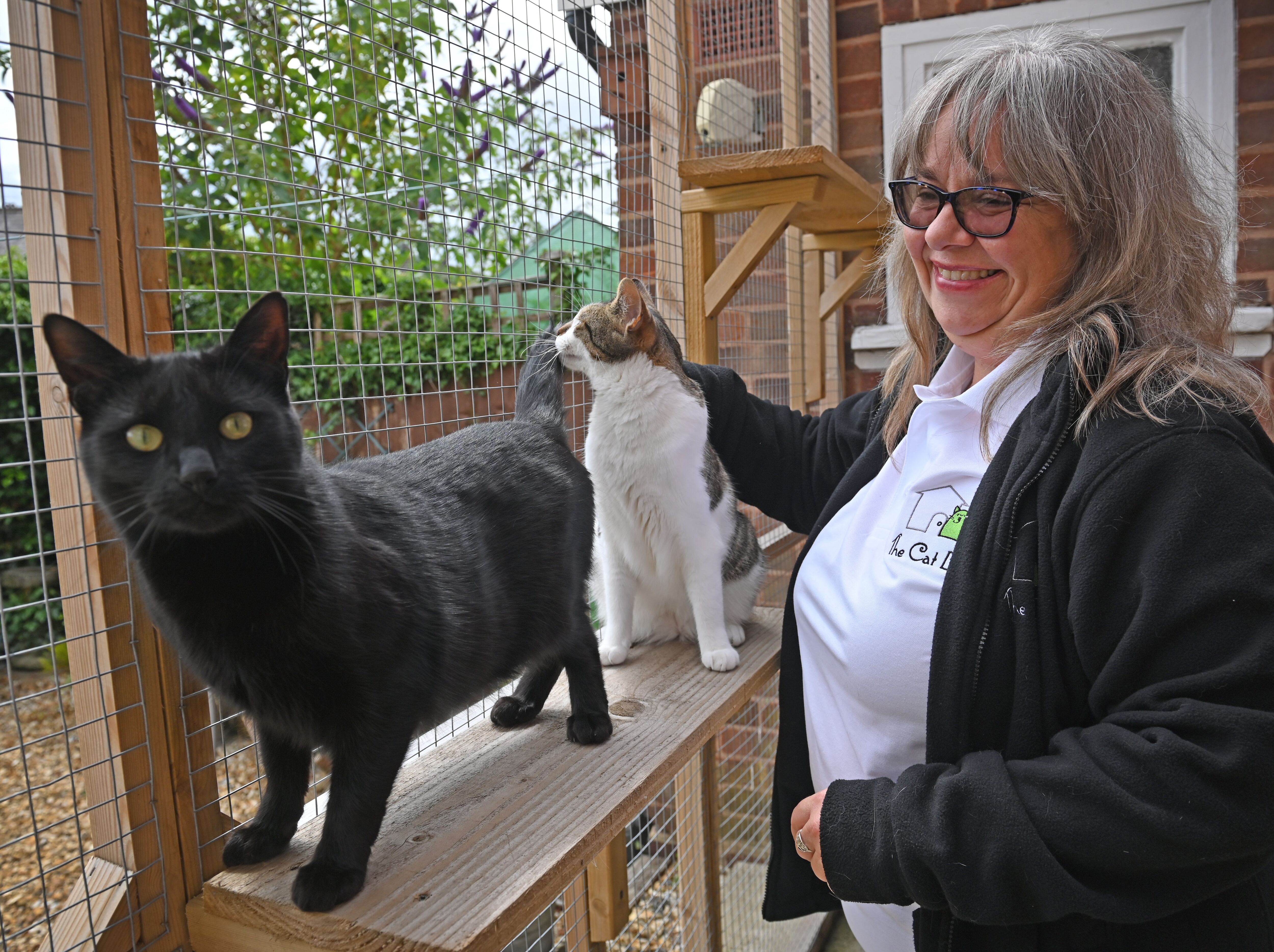 'I needed a complete change': Dudley mum leaves teaching behind to swap classrooms for cat care