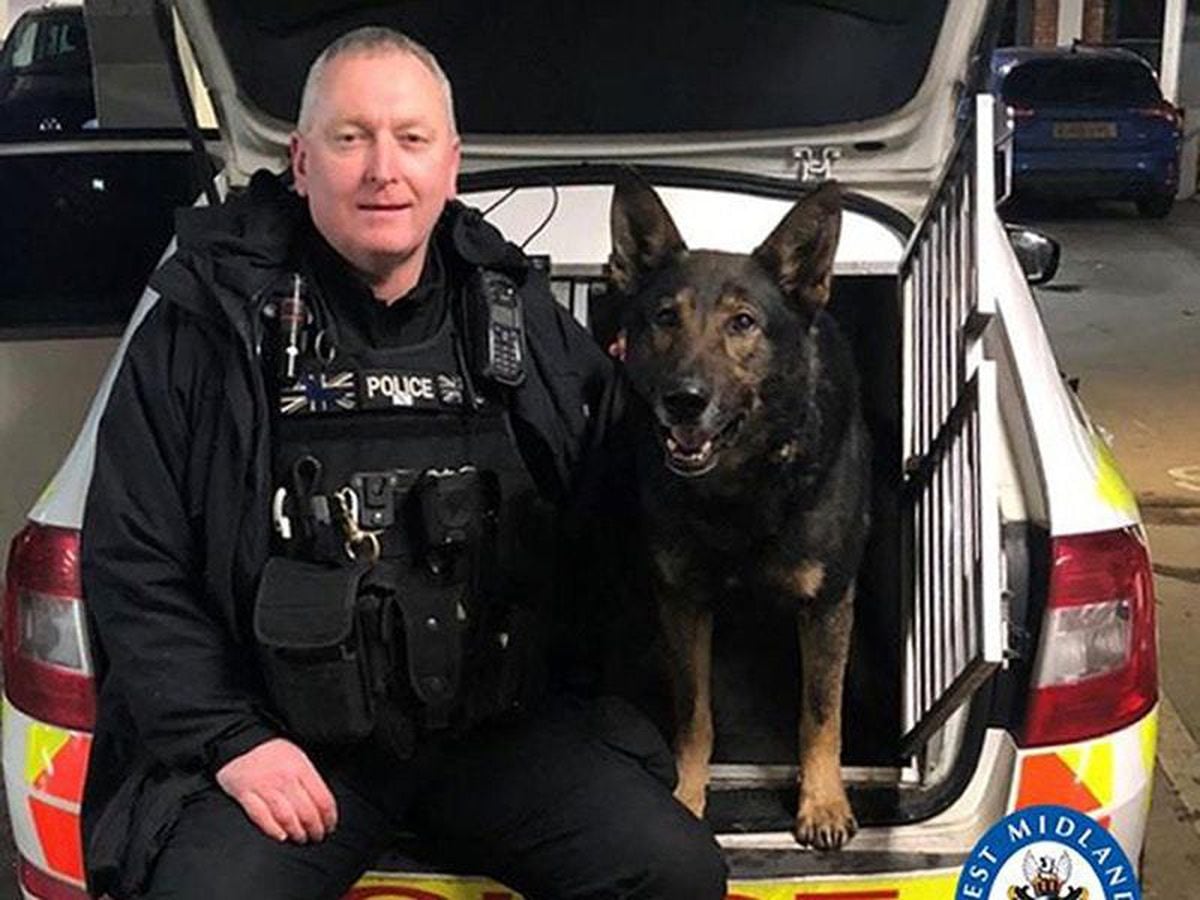 Police dog saves the day in Birmingham wedding ring drama | Express & Star