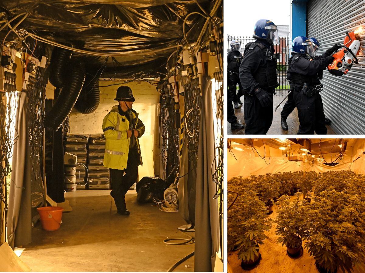 Major Bilston drugs bust as police swoop on one of biggest cannabis factories ever found in region 