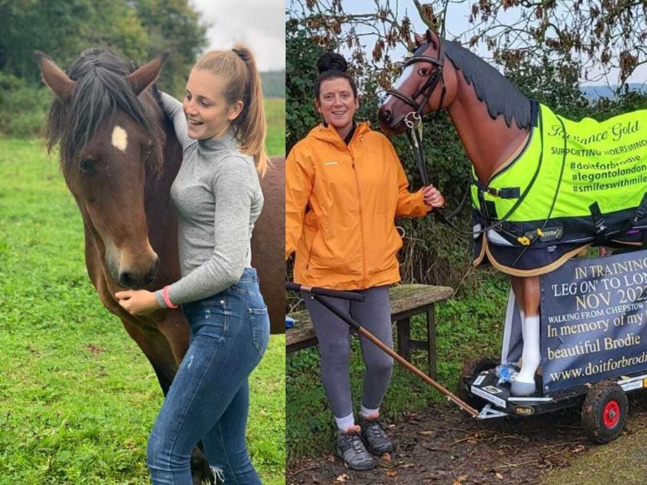 Woman to pull resin horse from Wales to Birmingham in daughter’s memory