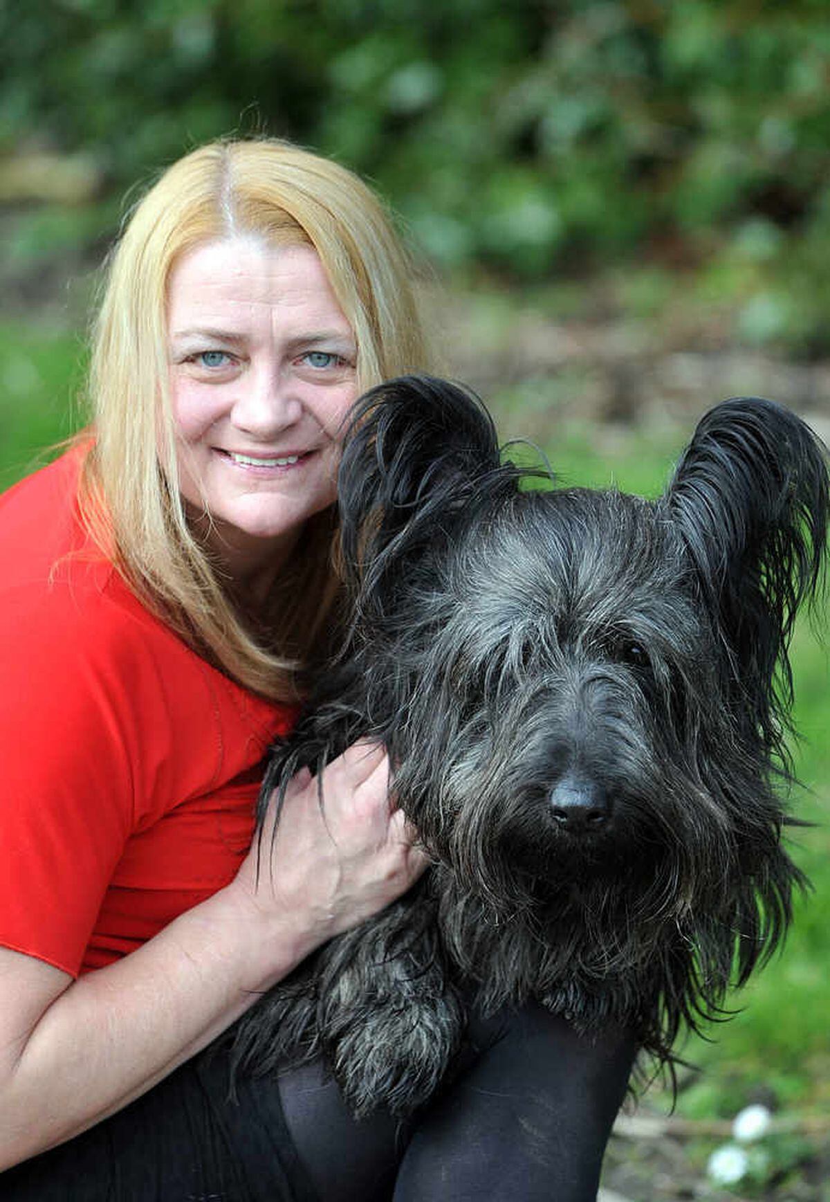 Crufts 2017: What it's like to compete | Express & Star