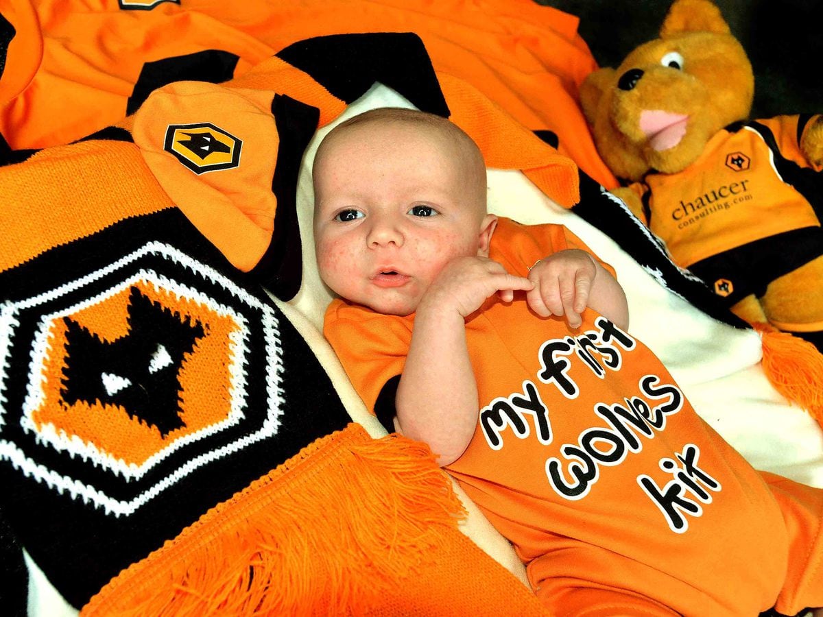 Wolves store baby kit