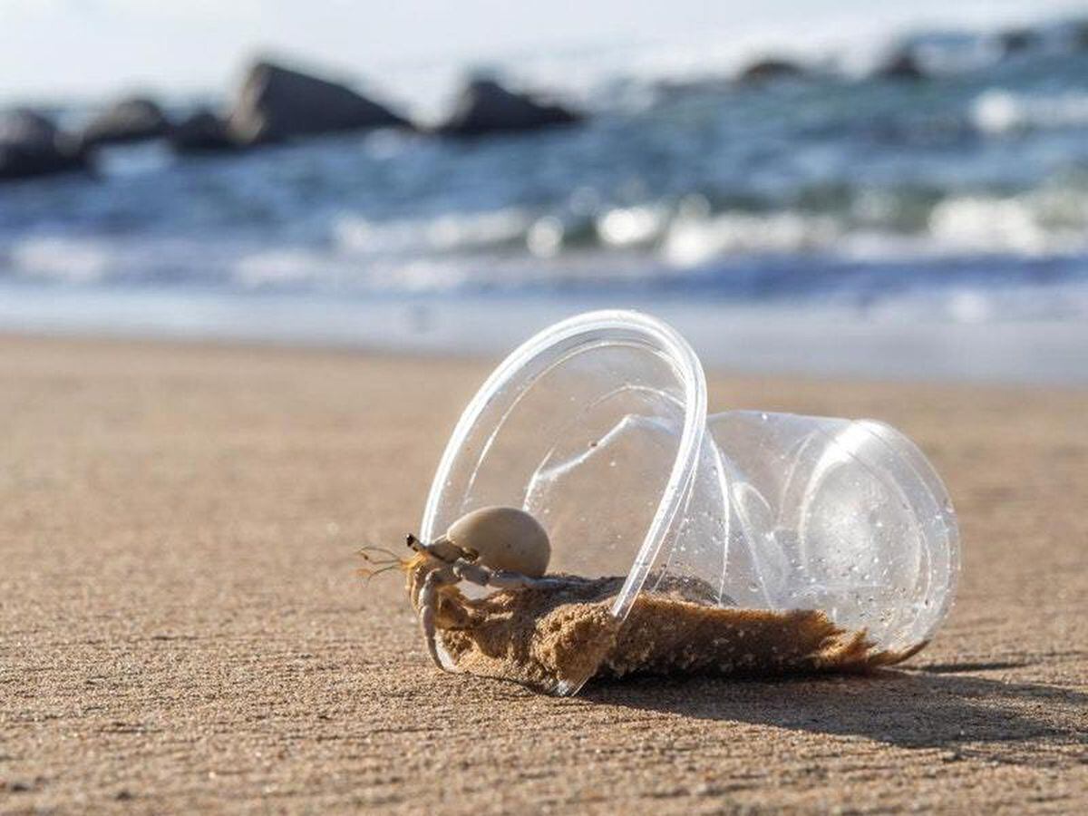 New Research Reveals How Microplastic Pollution Is Threatening ...