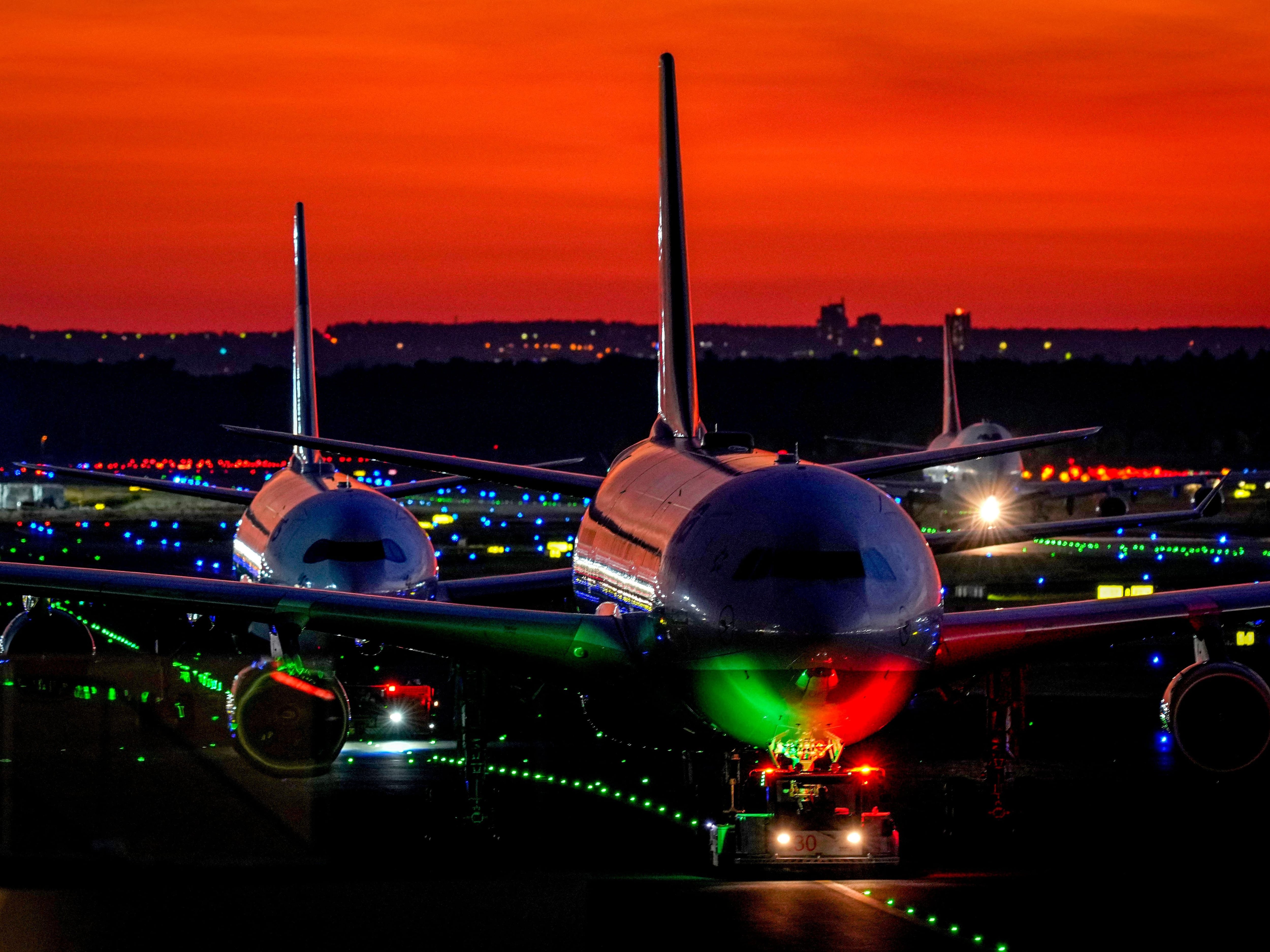 Part of Frankfurt Airport’s power supply cut overnight by a dormouse