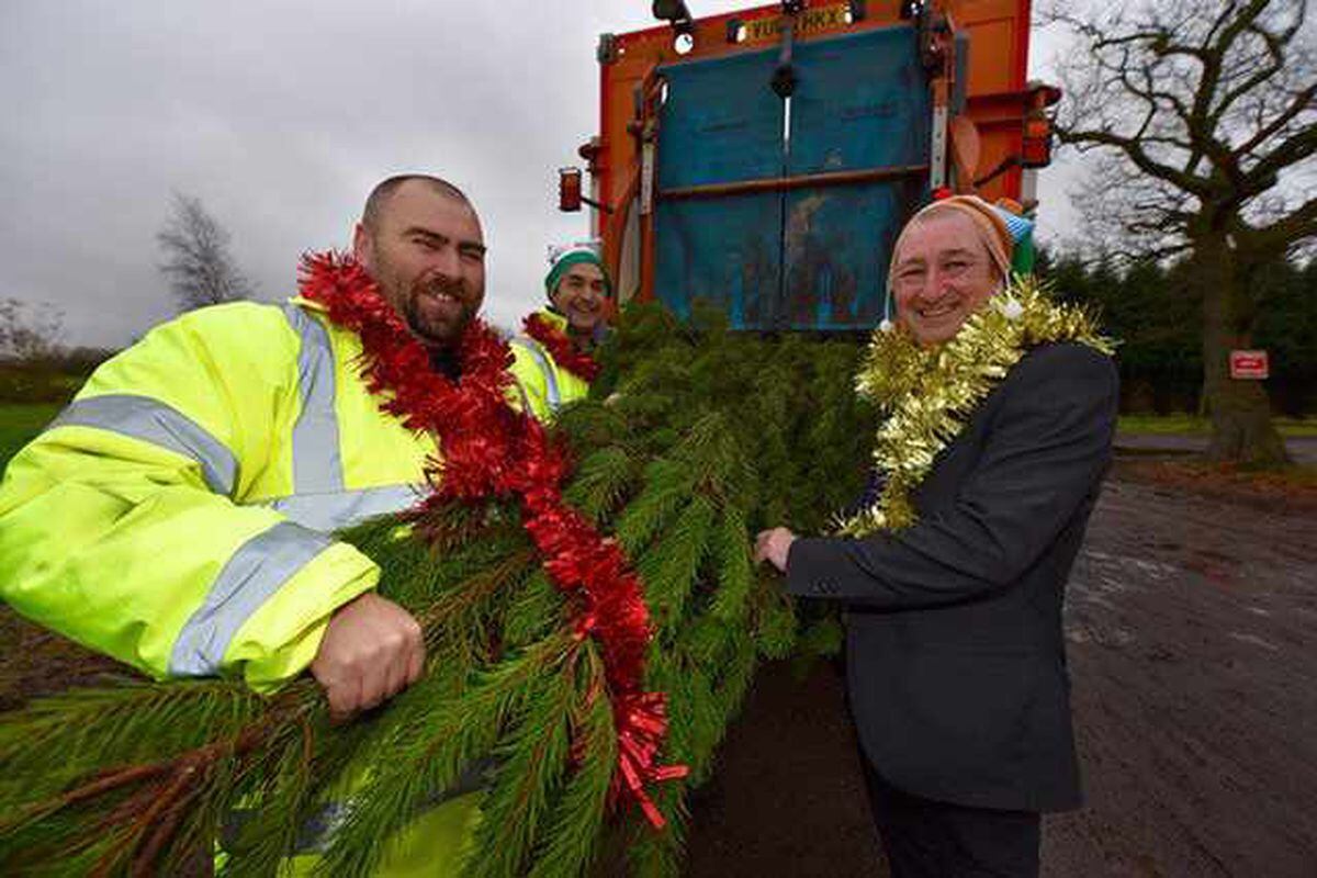 Wolverhampton council helps with Christmas tree cleanup Express & Star