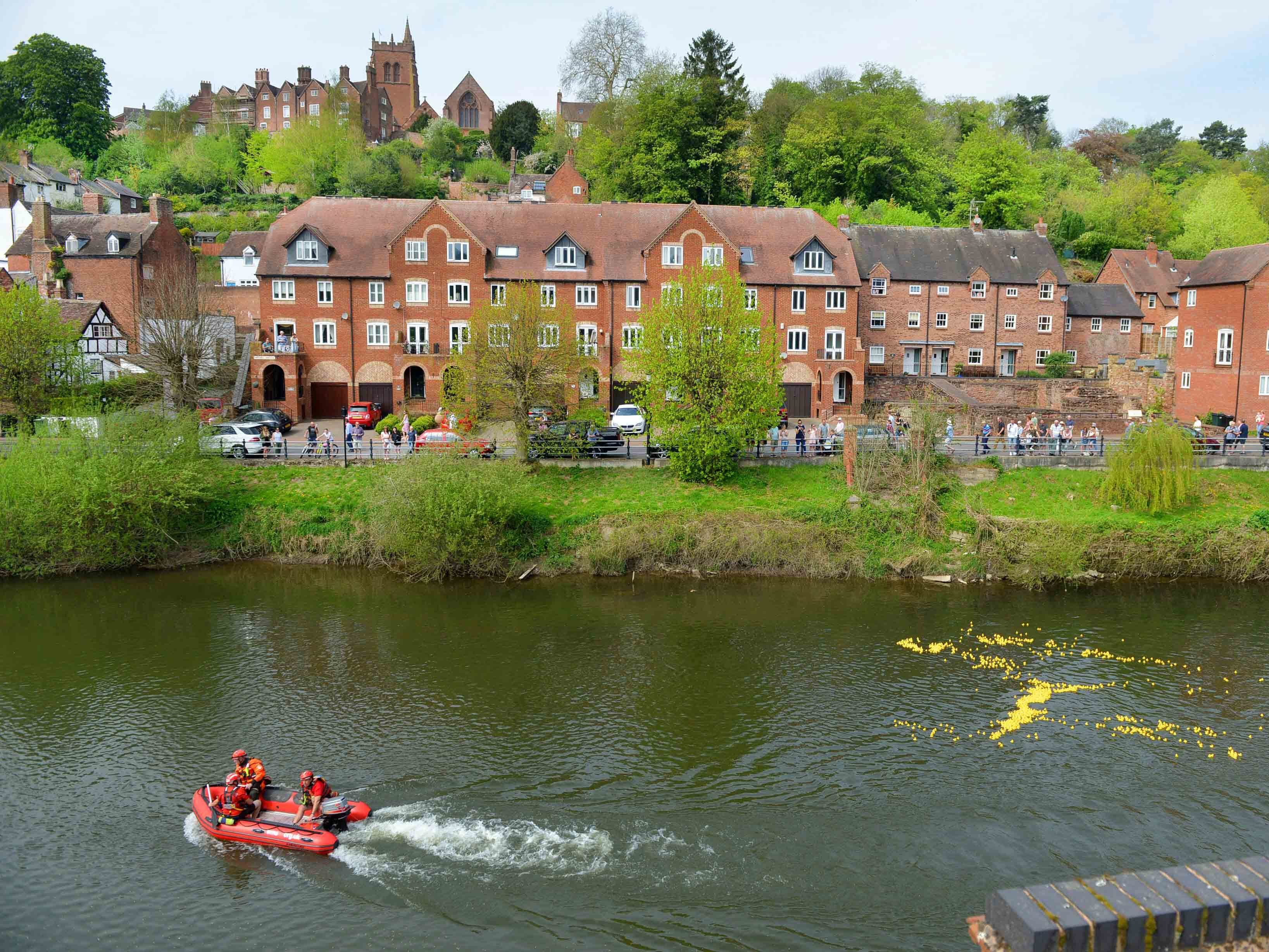 Town's annual duck race called off as bad weather forecast