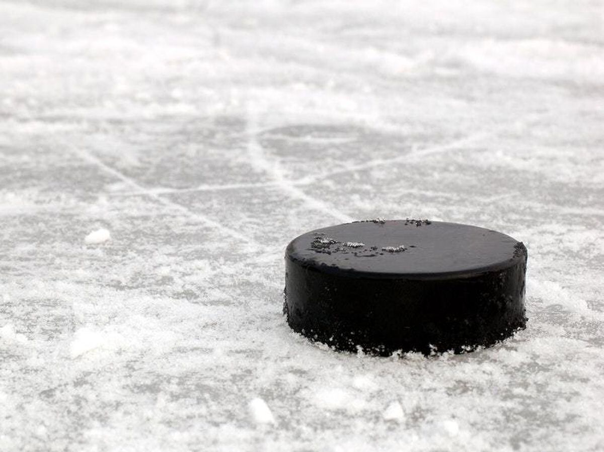 this-girl-s-struggle-to-get-a-hockey-puck-from-her-hero-will-break-your