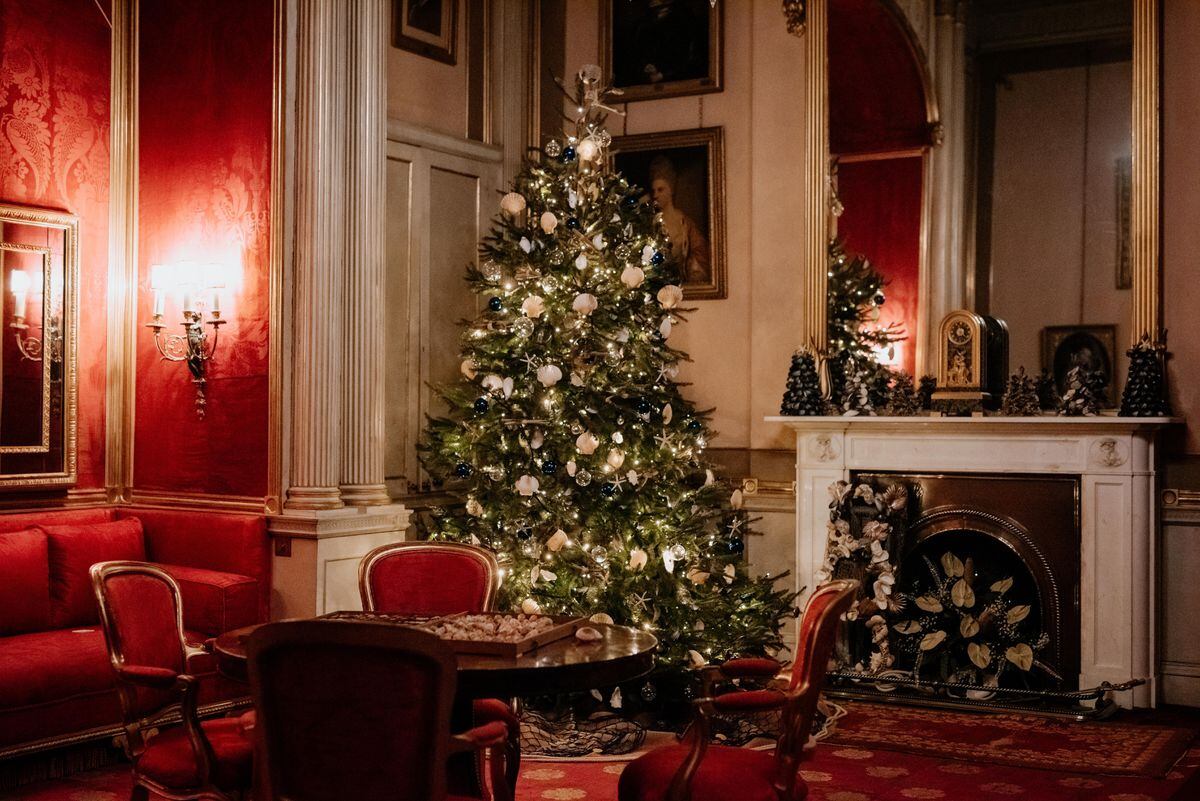 Step inside a winter wonderland at Attingham Park Express & Star