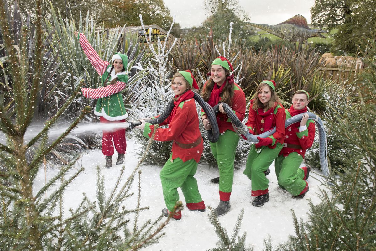 Christmas comes early to West Midland Safari Park with Santa Safari