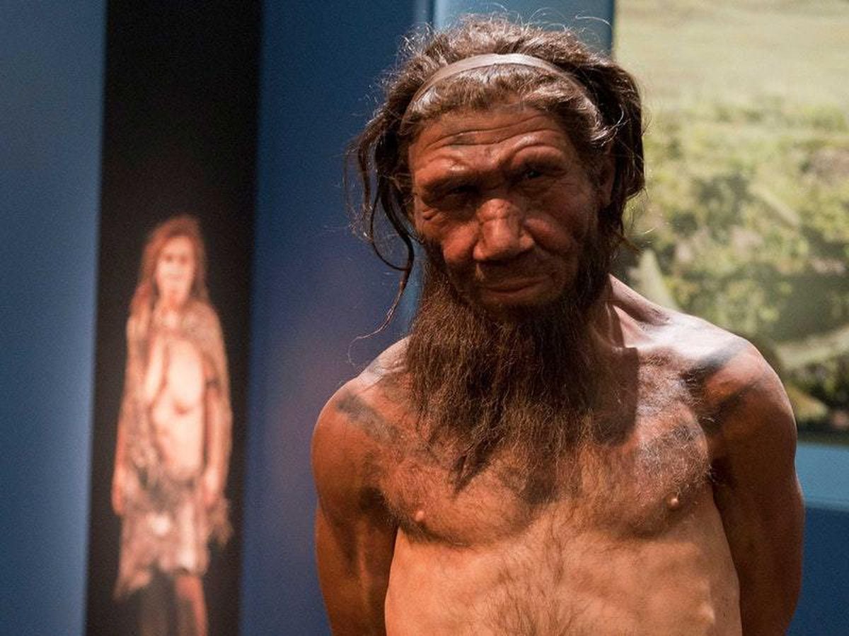 neanderthal kindred