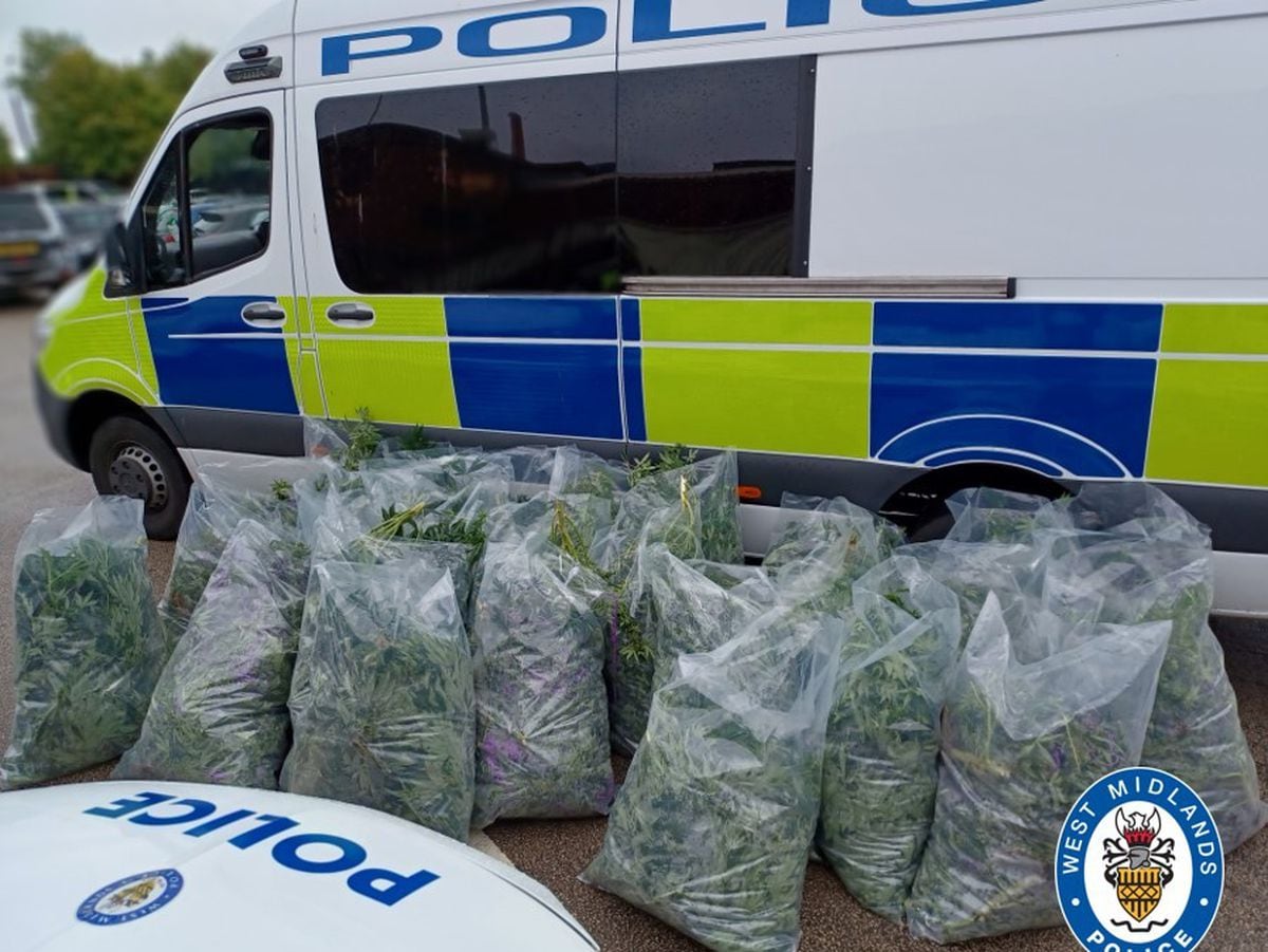 Police Seize 435 Cannabis Plants In Raid On Three Wolverhampton Flats ...