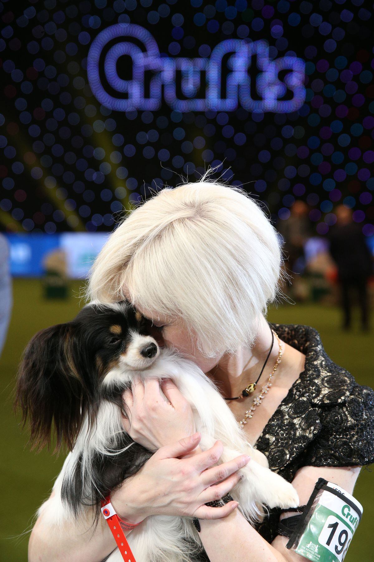 what dog has won crufts 2019