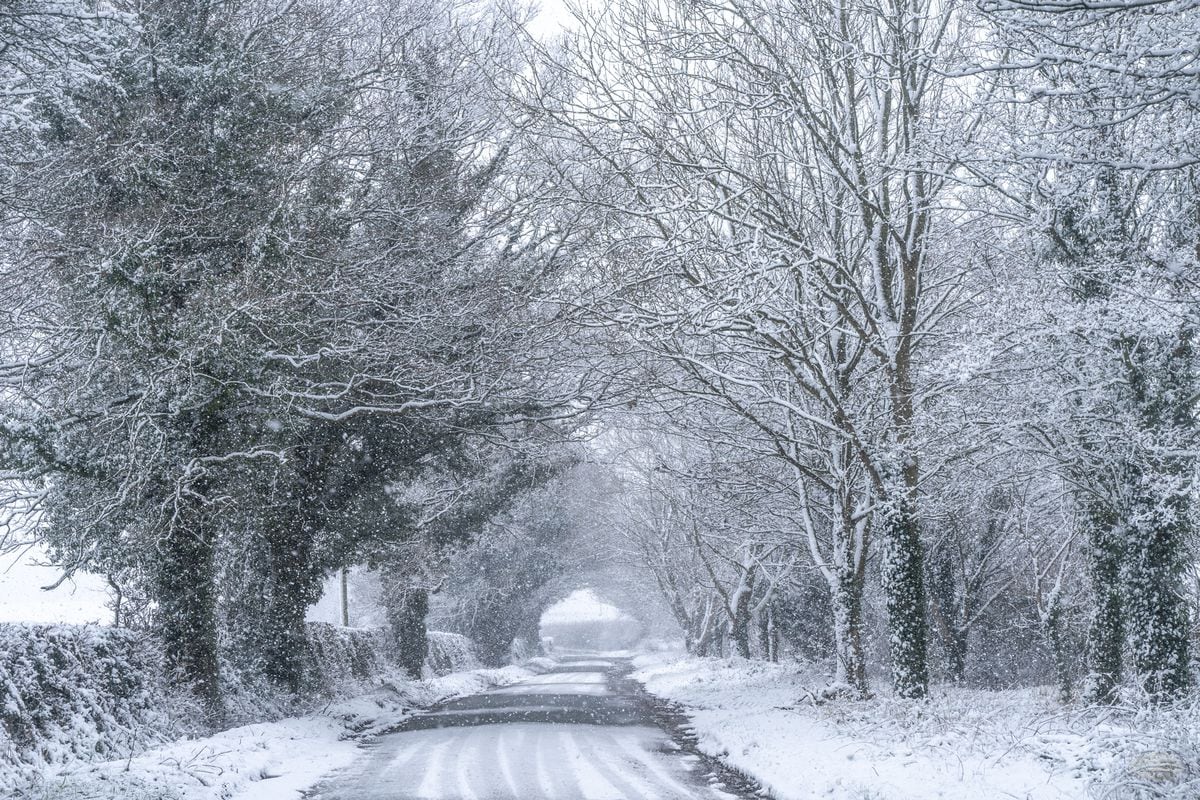 GALLERY: Your photos as snow falls across Black Country and ...