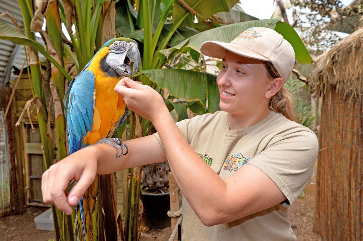 Zoos and wildlife parks welcome backing to reopen from Monday | Express ...