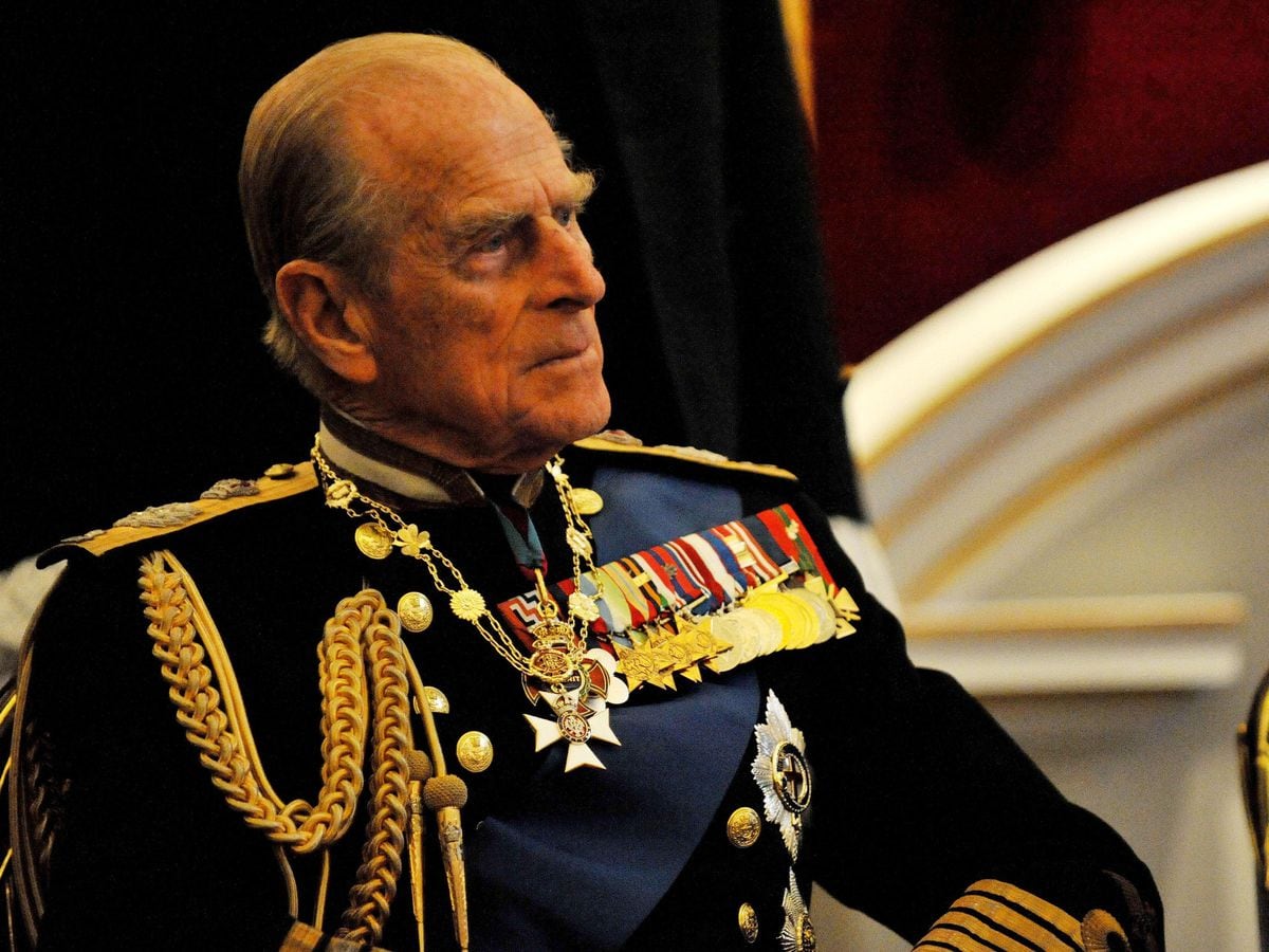 Duke of edinburgh пеларгония фото