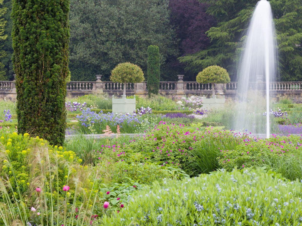 Staffordshire Wildlife Trust launches 'Wildlings' play at Trentham ...