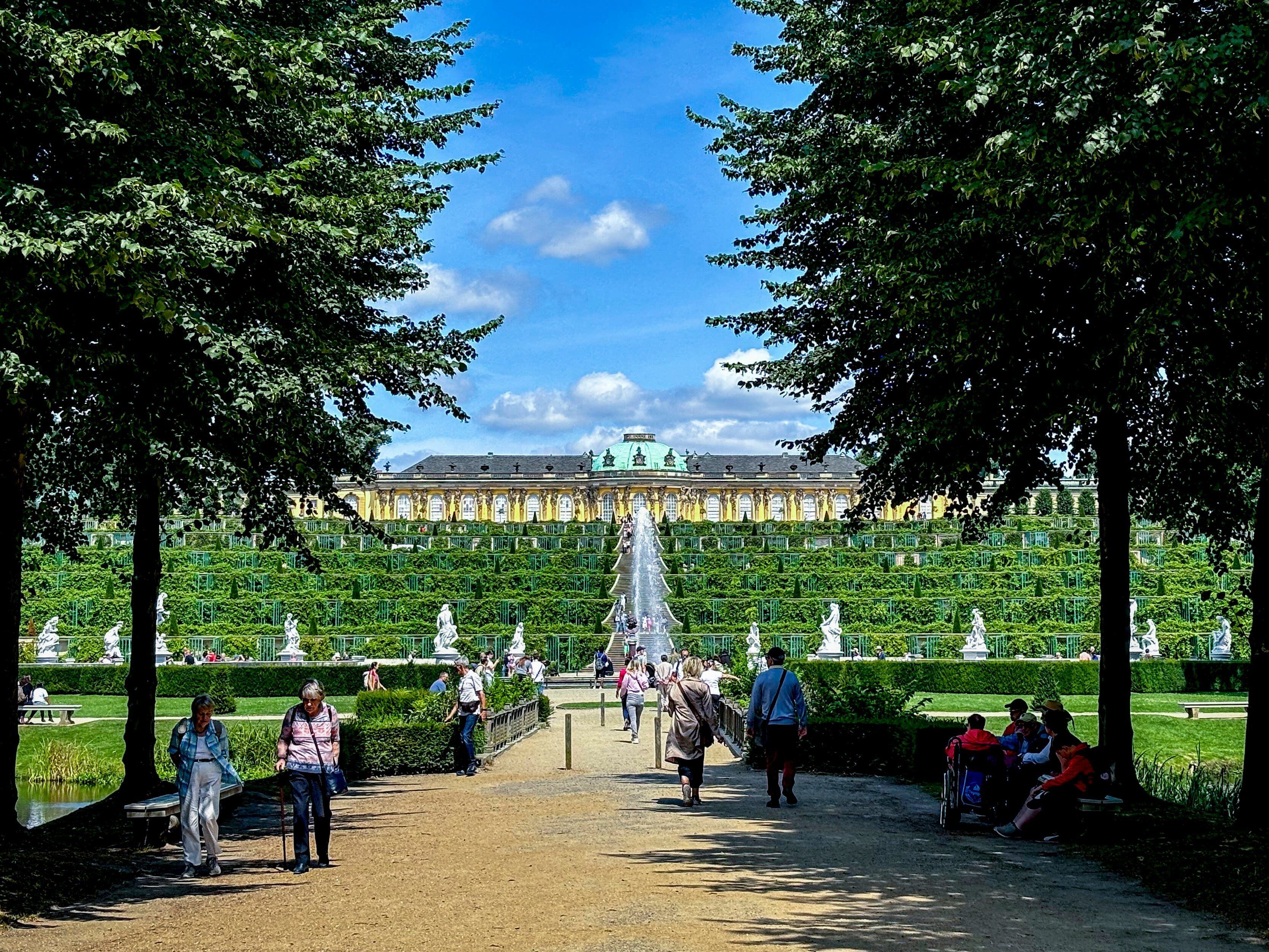 Germany’s Sanssouci Park seeks solutions as trees struggle with climate change