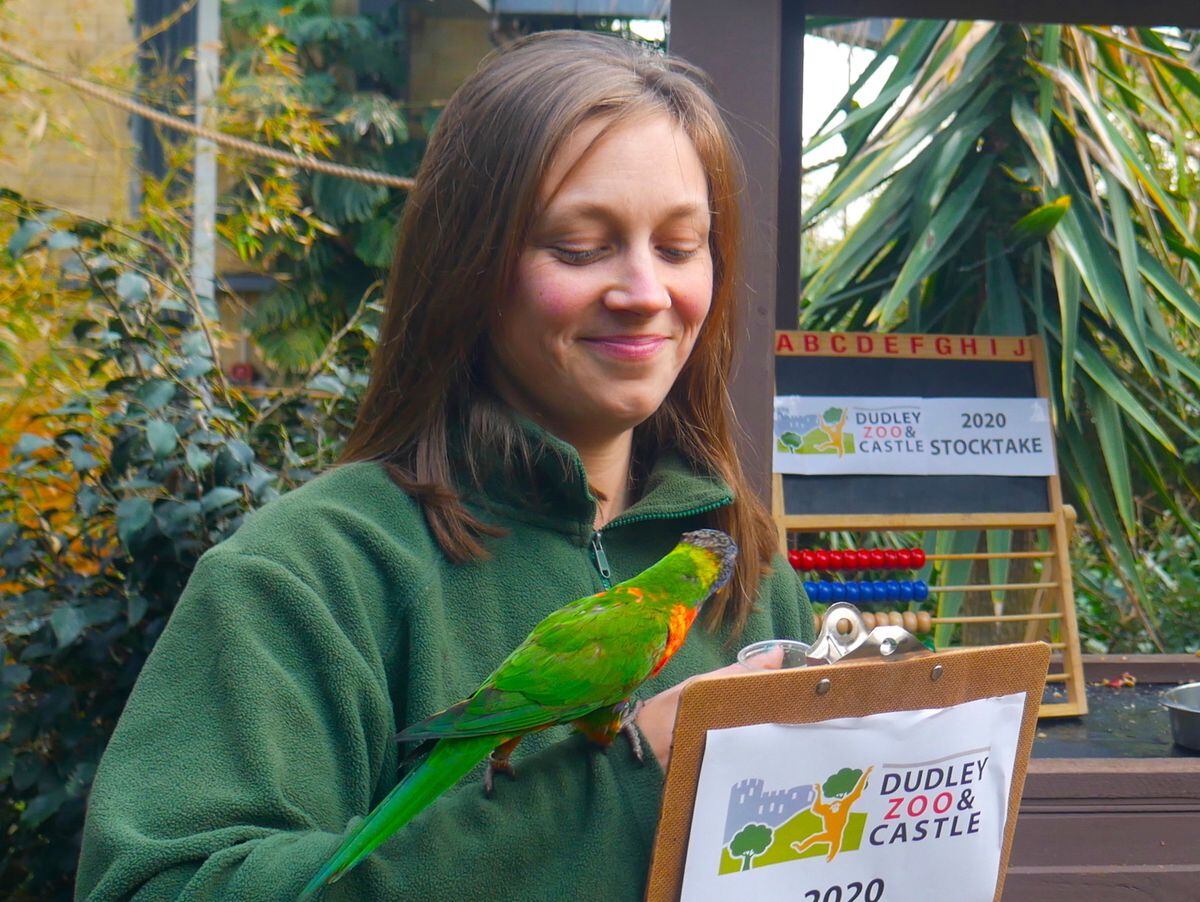 How many animals? Dudley Zoo keepers get counting for annual animal