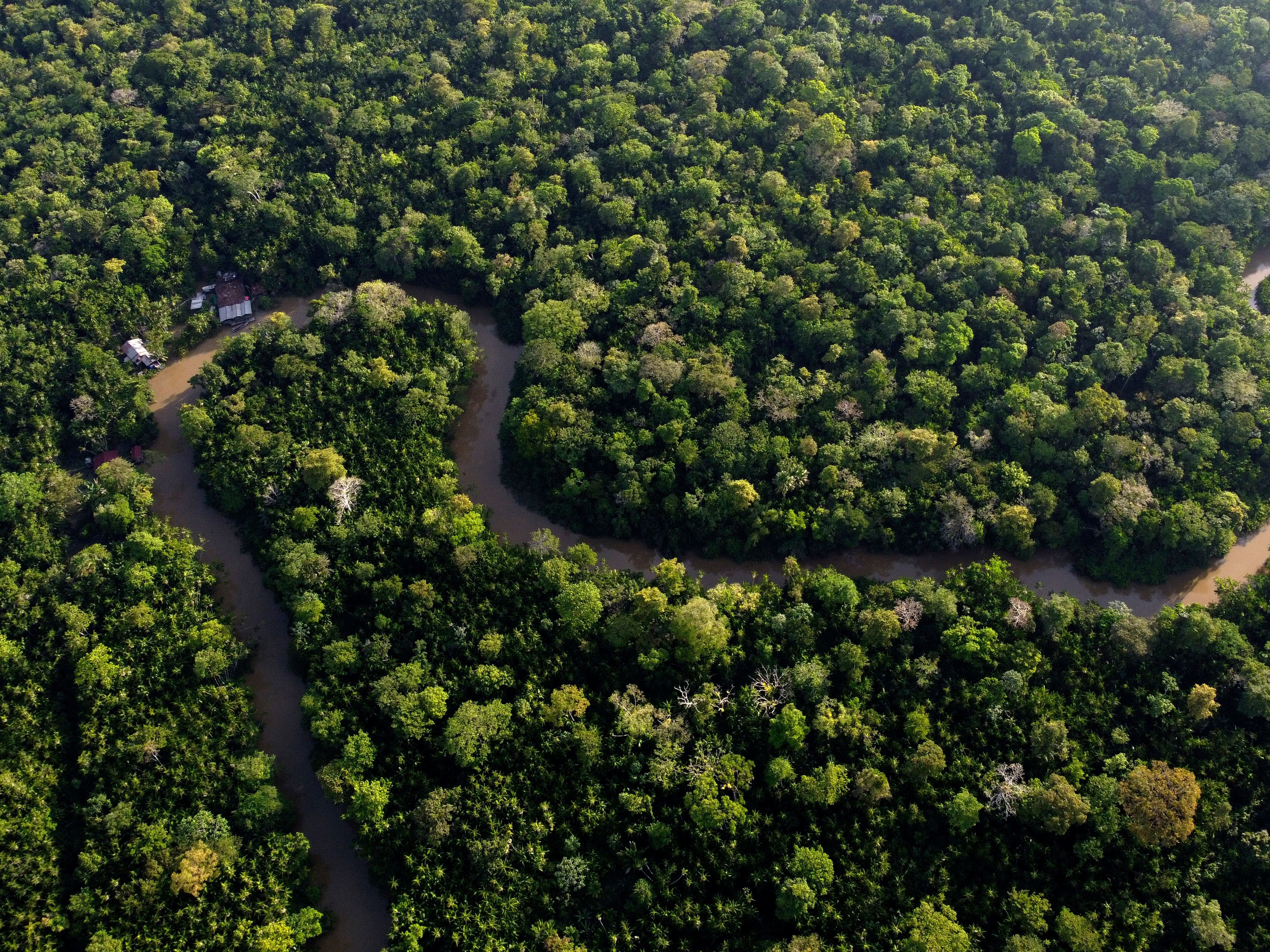 Amazon deforestation in Brazil ‘down to lowest level since 2016’