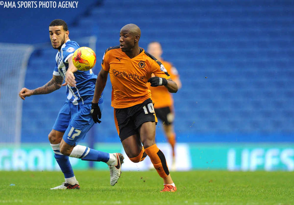 Brighton 0 Wolves 1 - Report and pictures | Express & Star