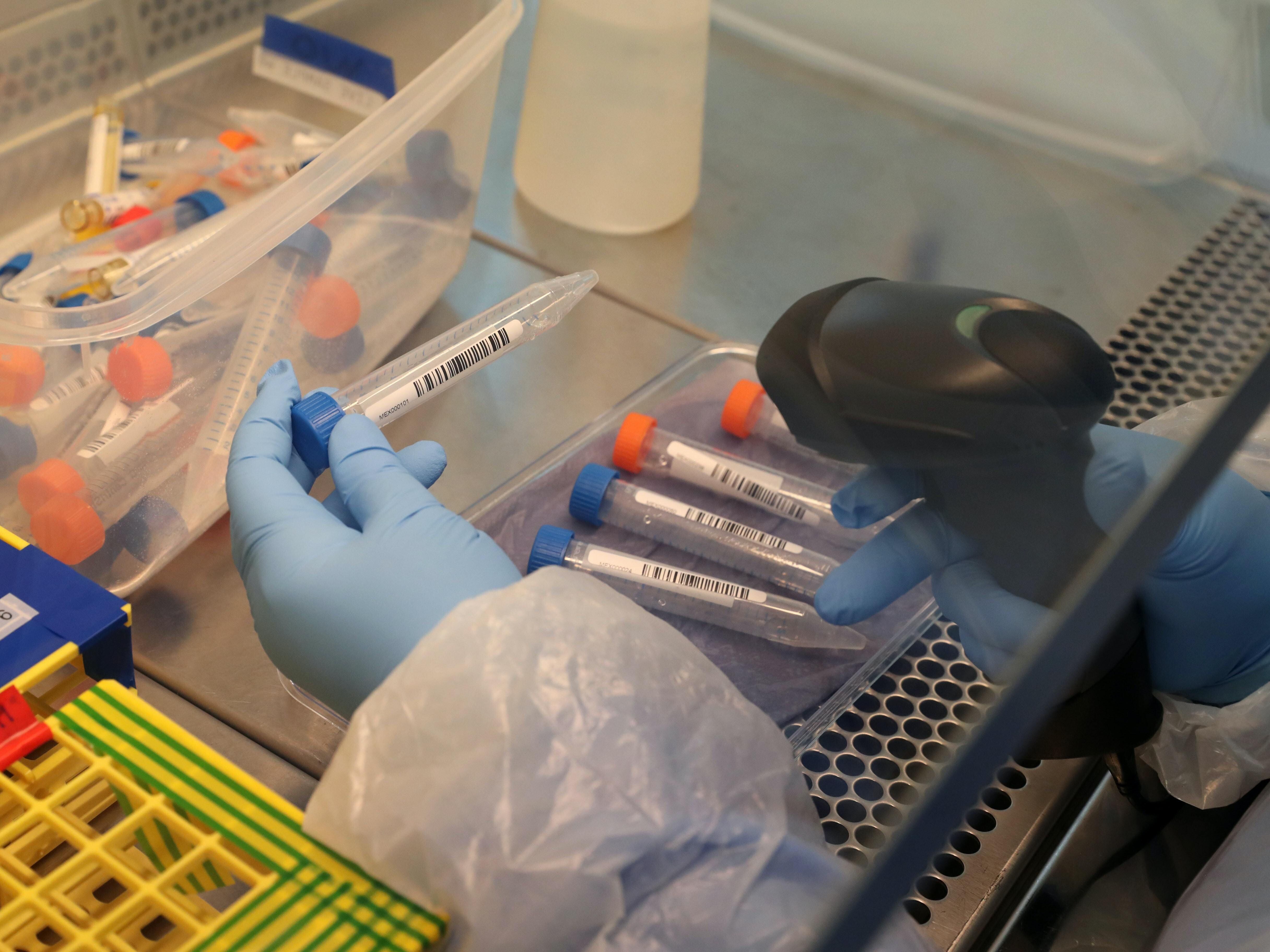 Further nine coronavirus deaths recorded in the region