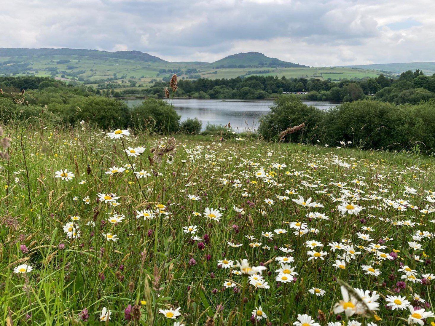 Summer of fun on the menu at Tittesworth Water