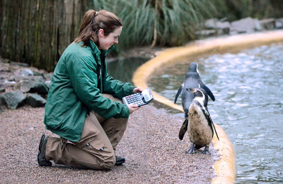 Animals captured in Dudley Zoo snaps with video Express & Star