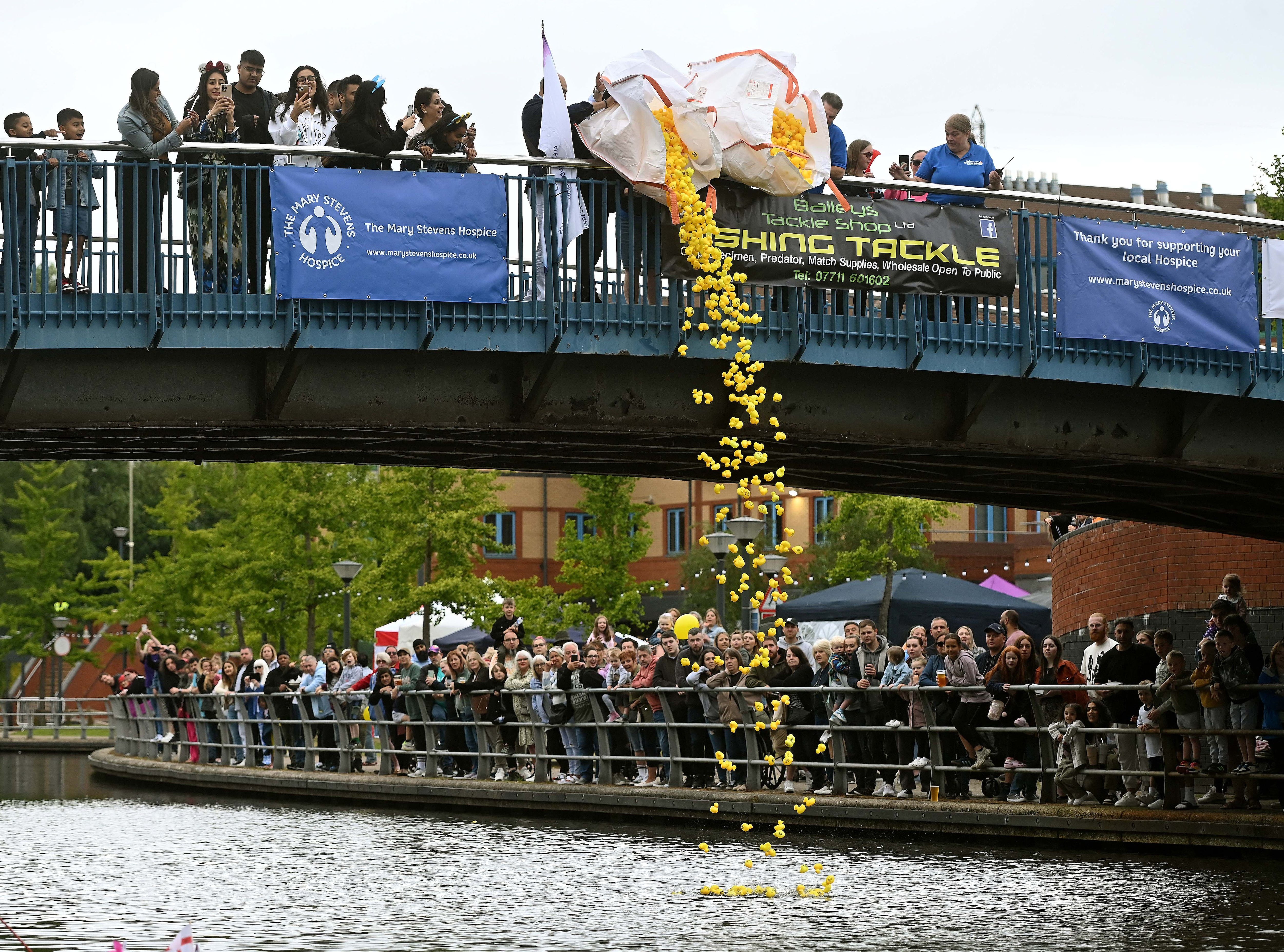 Watch: Ducks at the ready for Black Country Duck Race