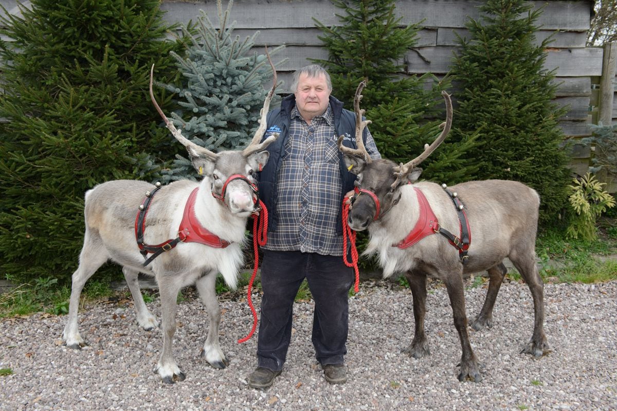 HS2 Reindeers to visit parliament with their home under threat