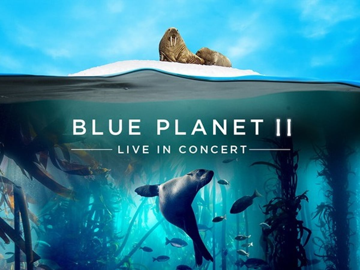 blue planet ii