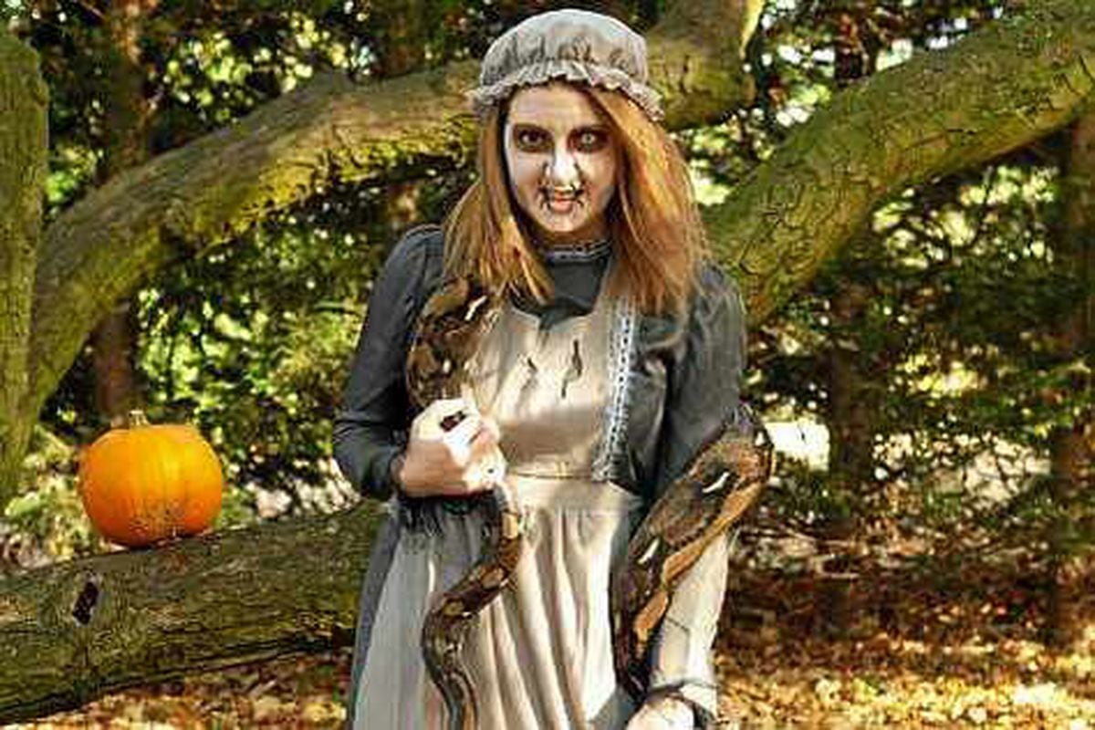 Midlands Halloween events this weekend Express & Star