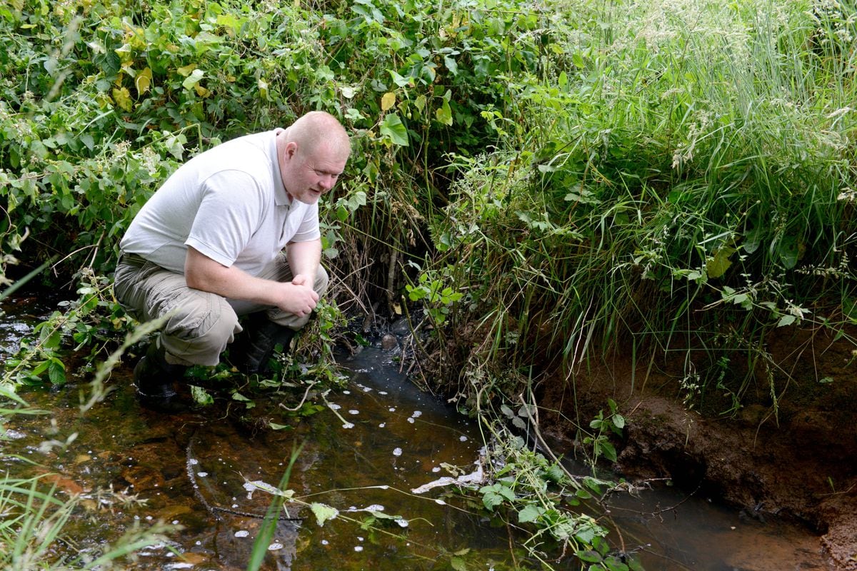 Stream contaminated by raw sewage | Express & Star