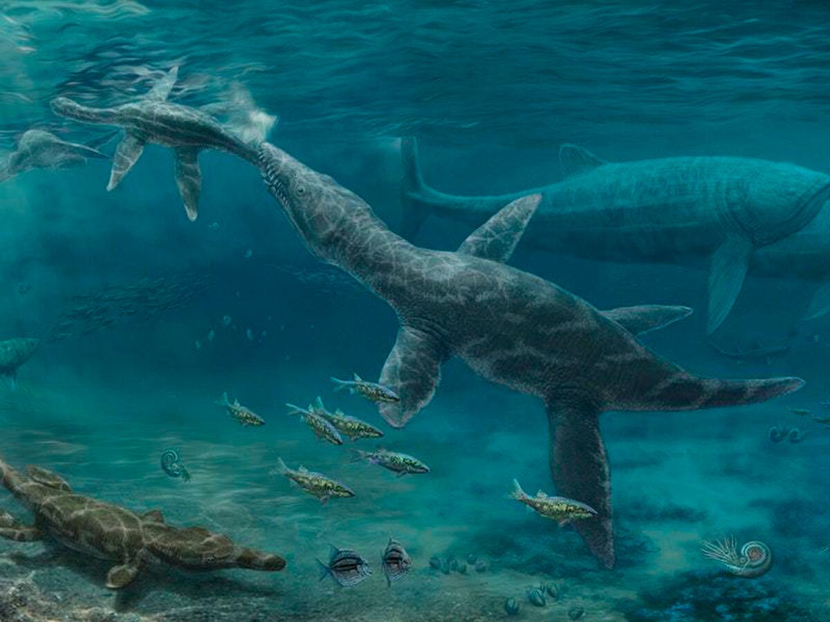 Study of fossil teeth sheds light on Jurassic marine reptiles | Express ...