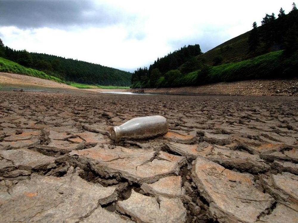 UK’s summer heatwave ’30 times more likely’ because of climate change