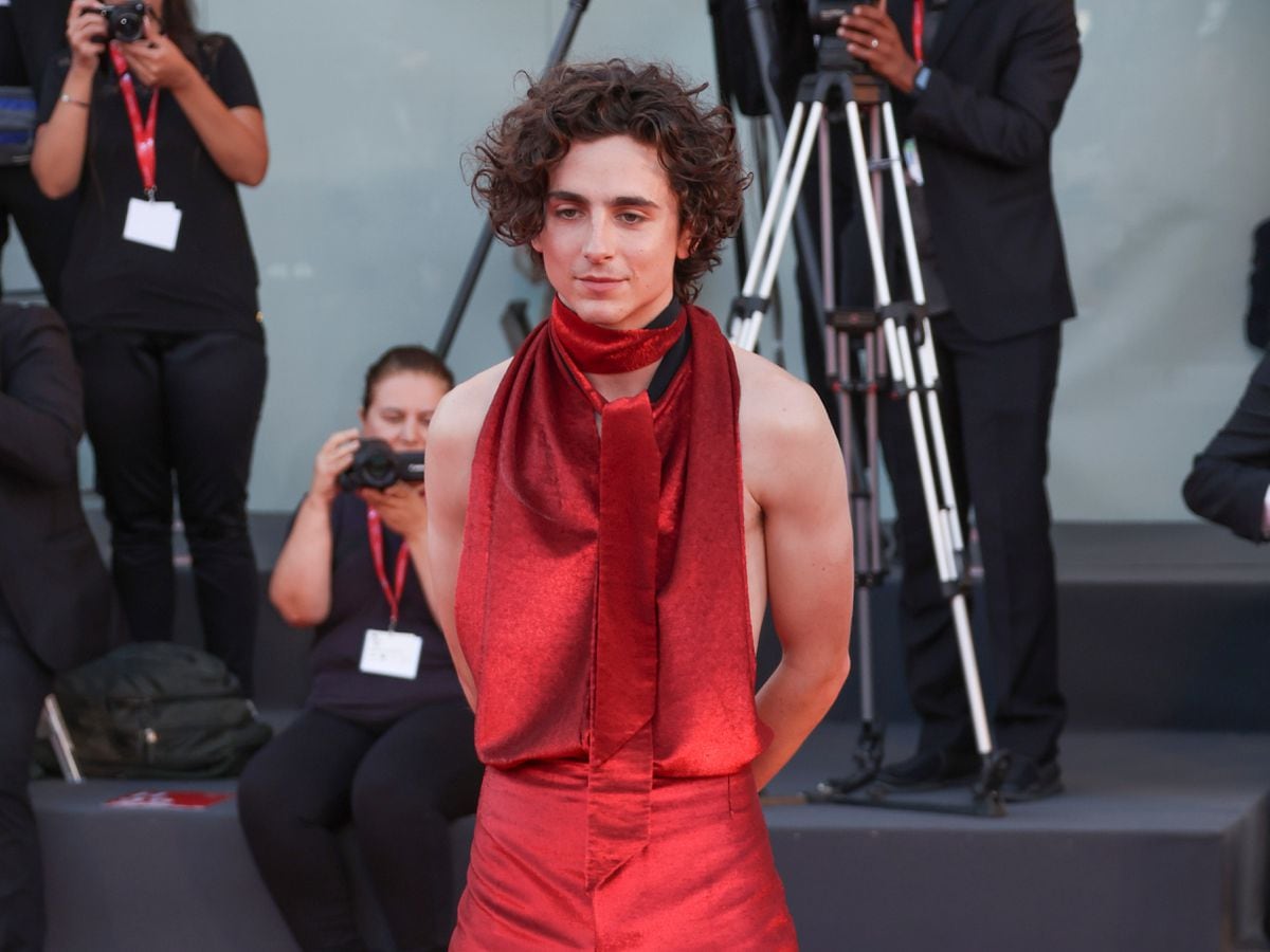 Venice Film Festival: Timothee Chalamet's Bones and All Plots