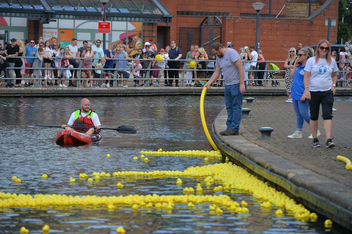 Duck race a quackers way for charity to raise muchneeded funds