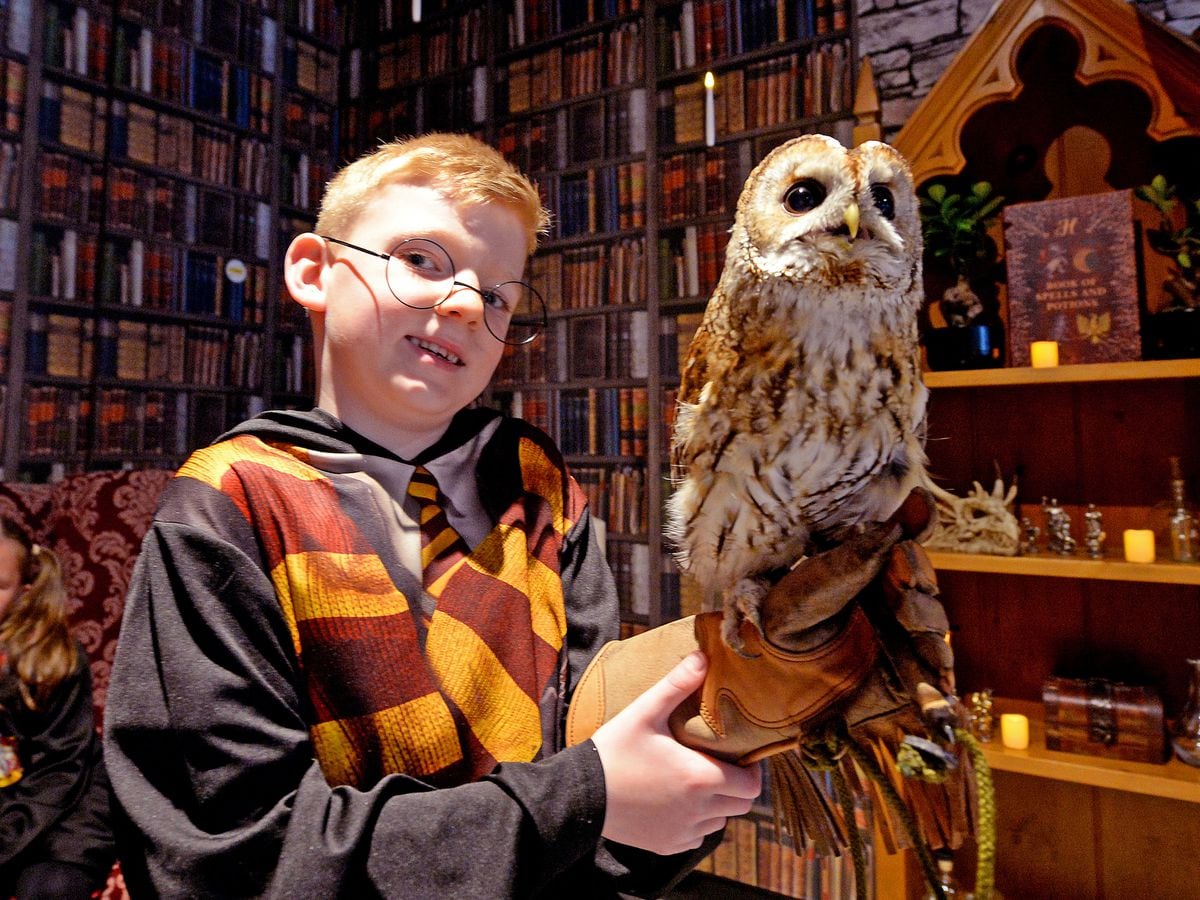 Magical opening weekend for Harry Potter-inspired cafe in the Black Country  | Express & Star