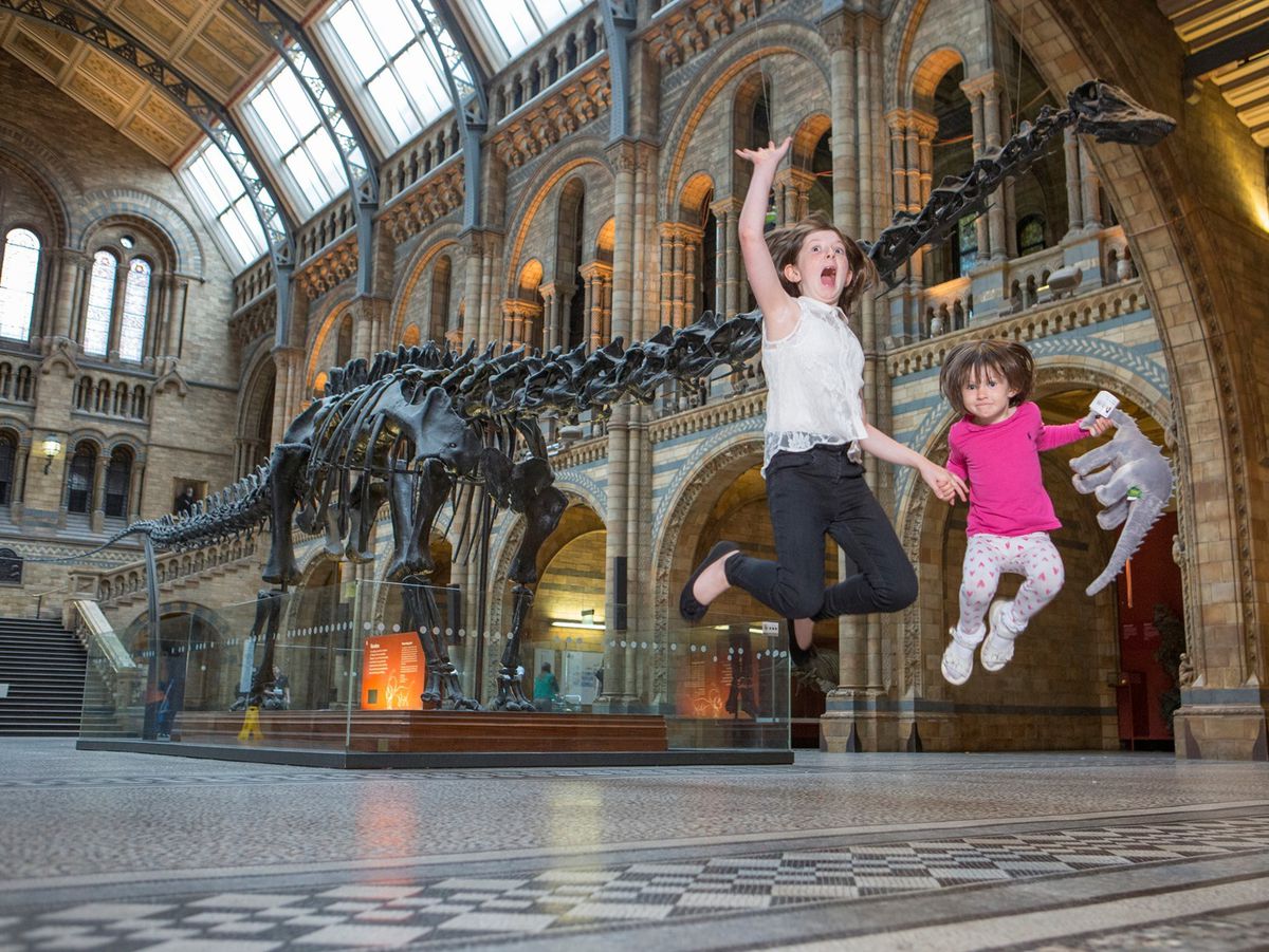 natural history dippy