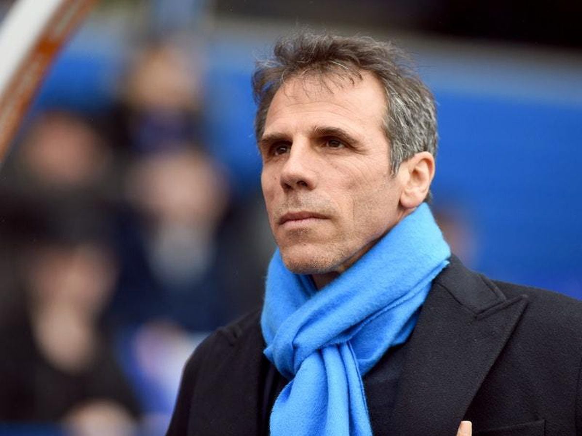 Gianfranco Zola looking for revenge on Tottenham | Express & Star