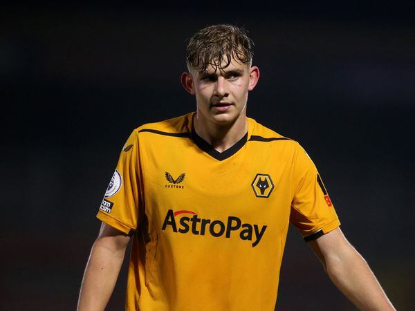 Wolves' Alfie Pond seals Stockport loan switch | Express & Star