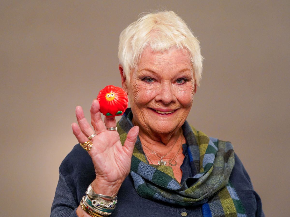 Dame Judi Dench