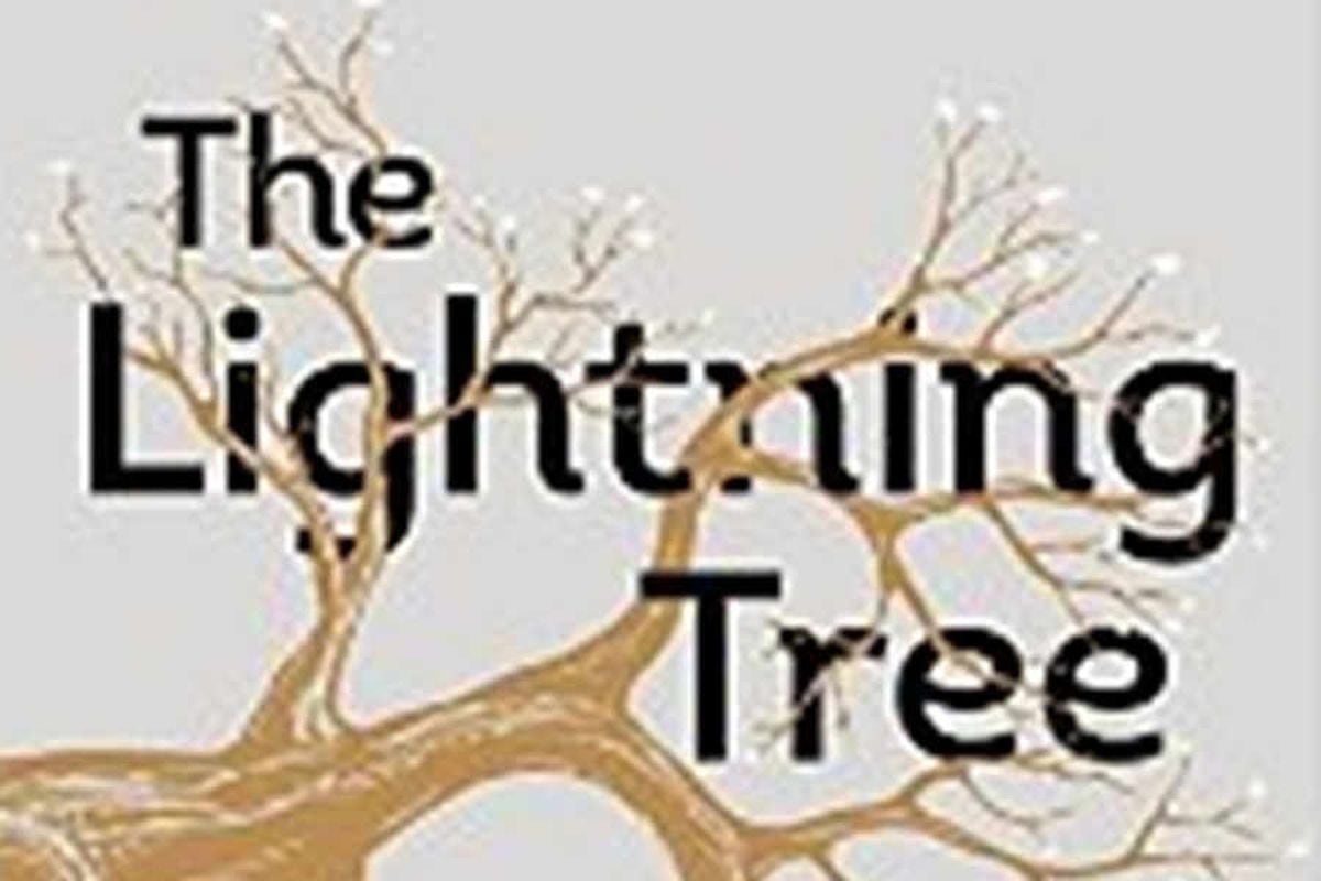 Emily Woof: The Lightning Tree | Express & Star