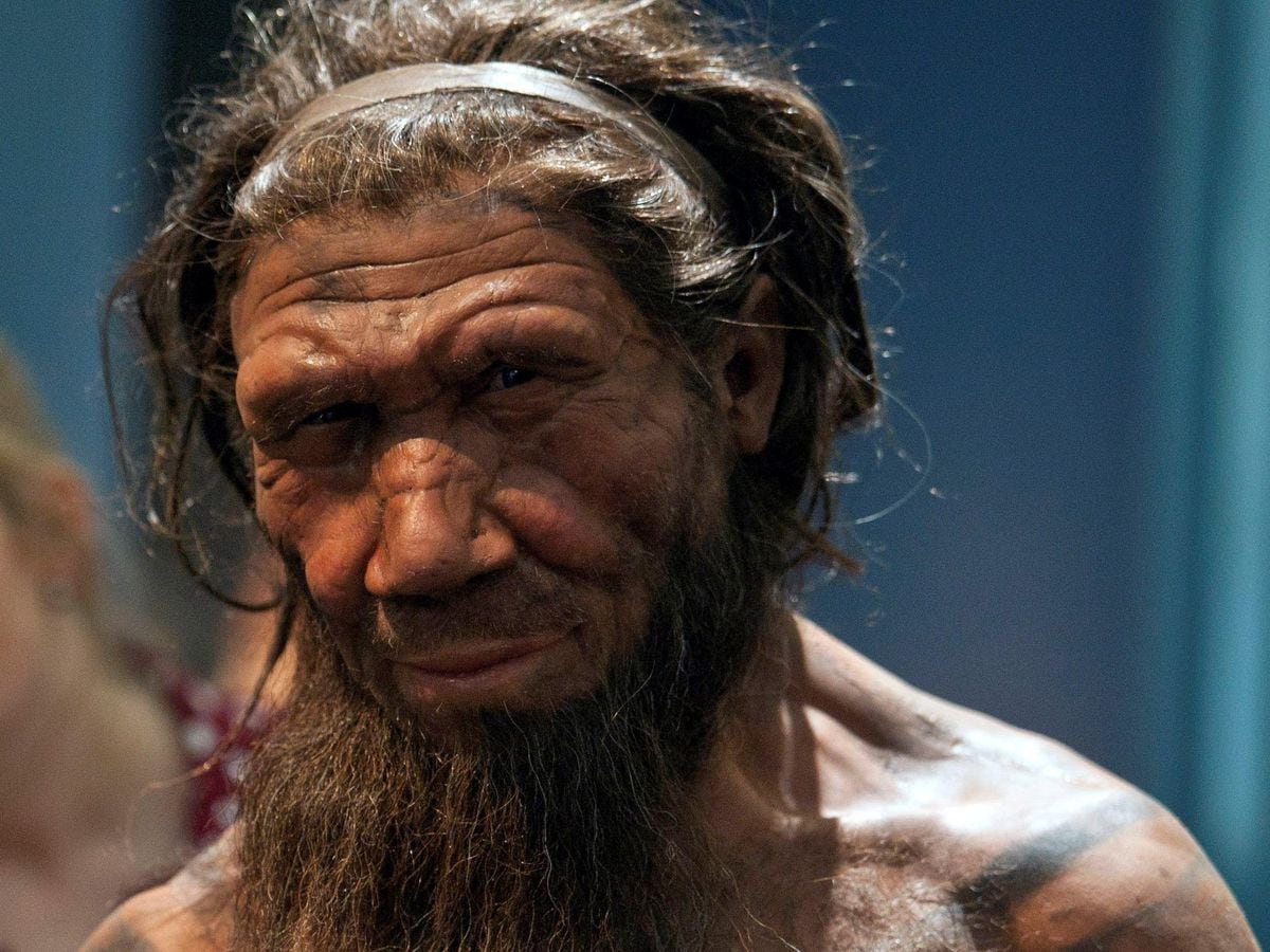 Experts name new species of human ancestor who lived 500,000 years ago ...