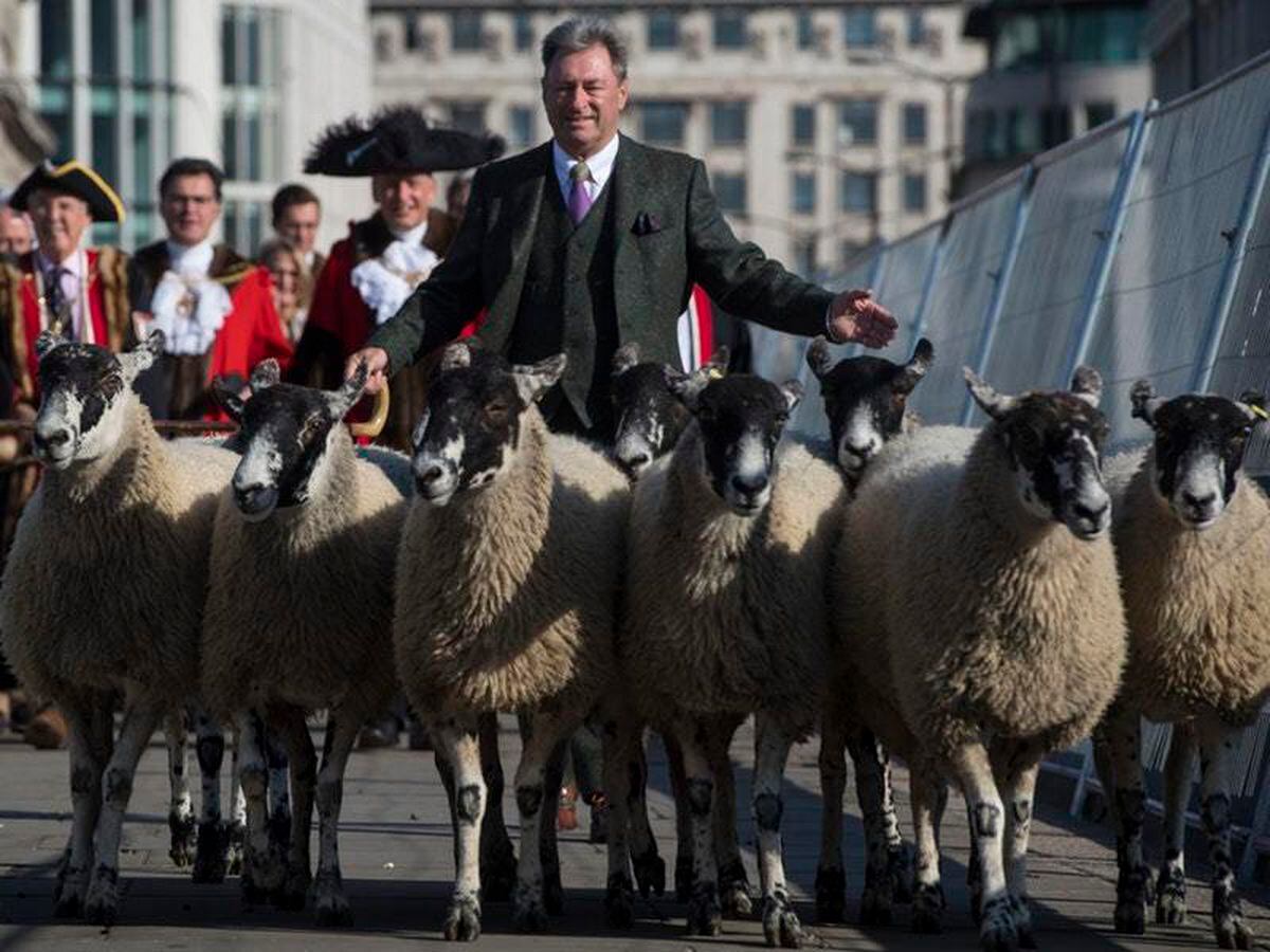 London Bridge Sheep Drive Led By Alan Titchmarsh In Centuries-old 