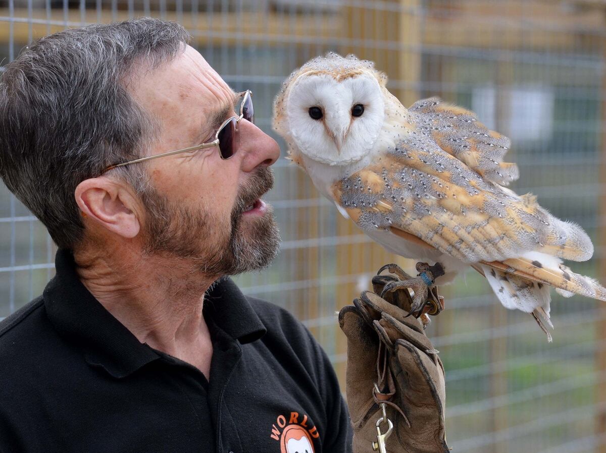 owl sanctuary london