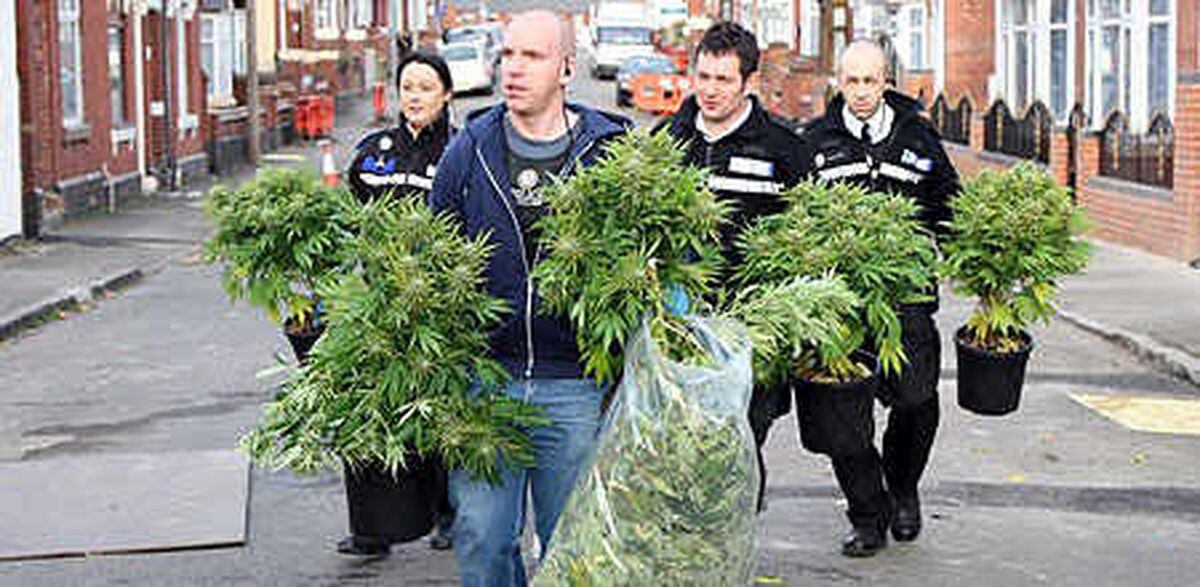 Police Seize Cannabis Haul | Express & Star