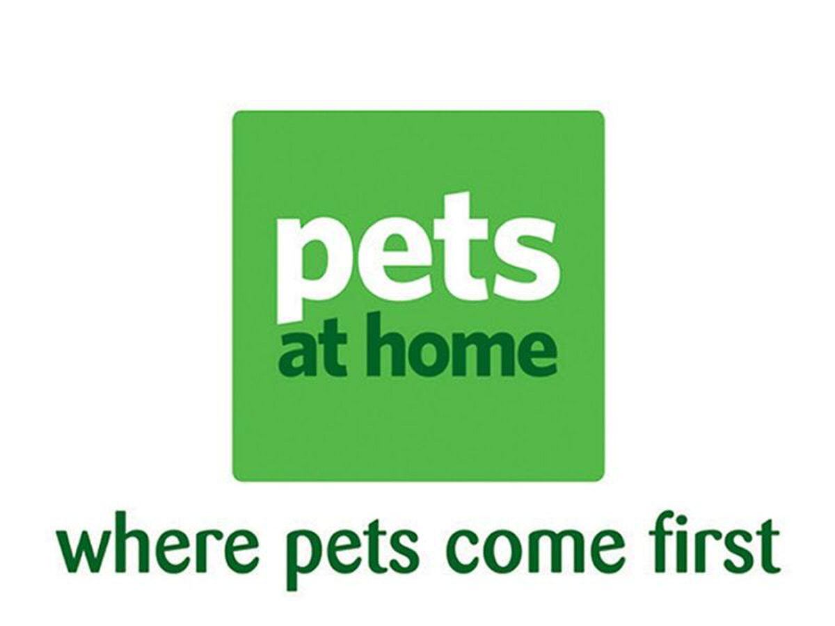 figure 8 lead pets at home