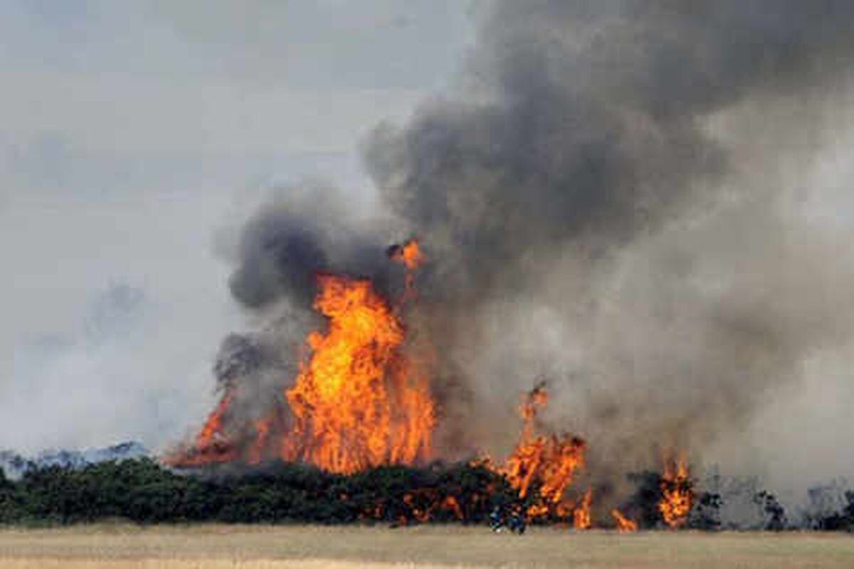 Grass blazes on Cannock Chase | Express & Star